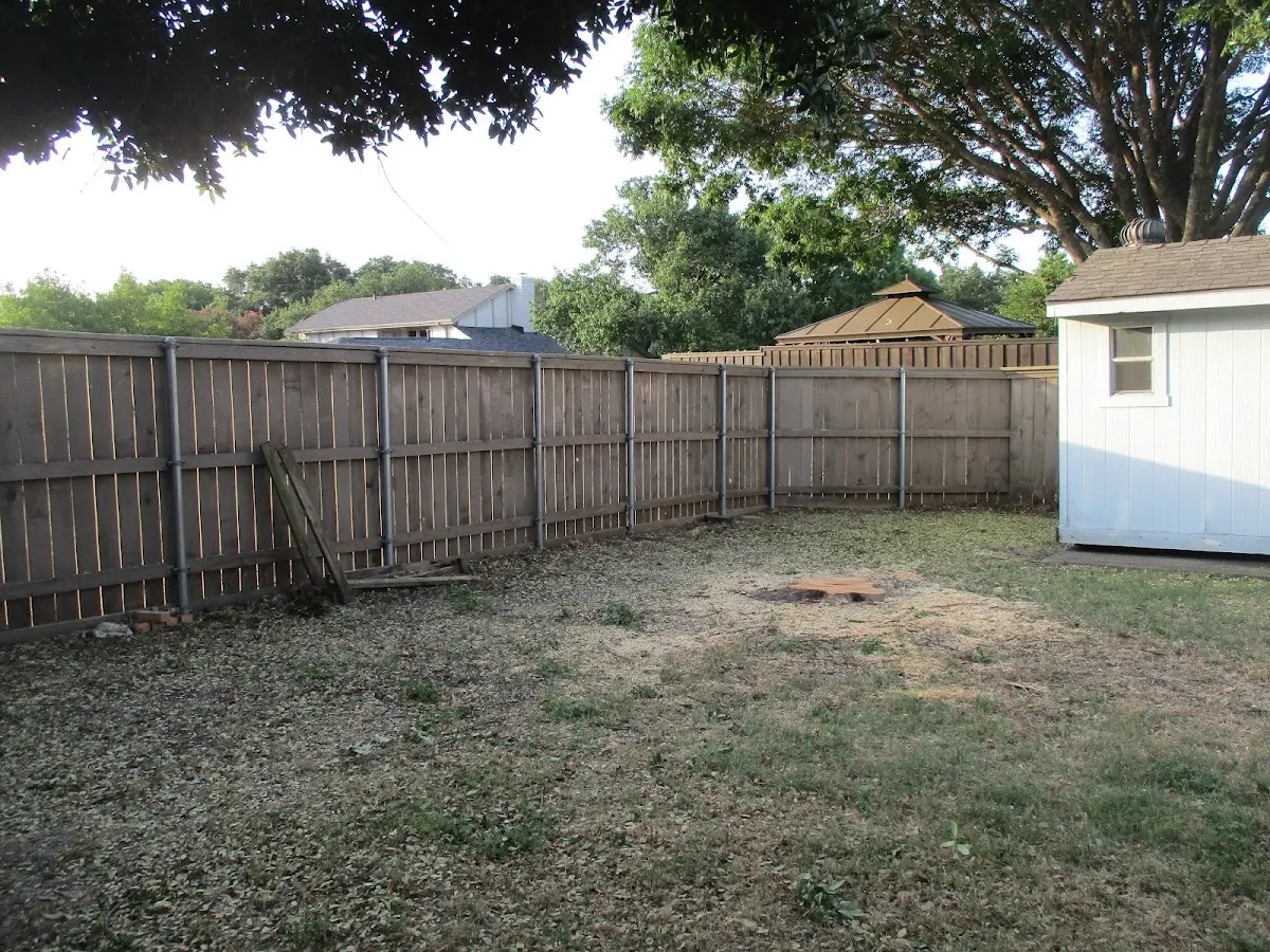 Cleared yard after professional tree removal in Faywood
