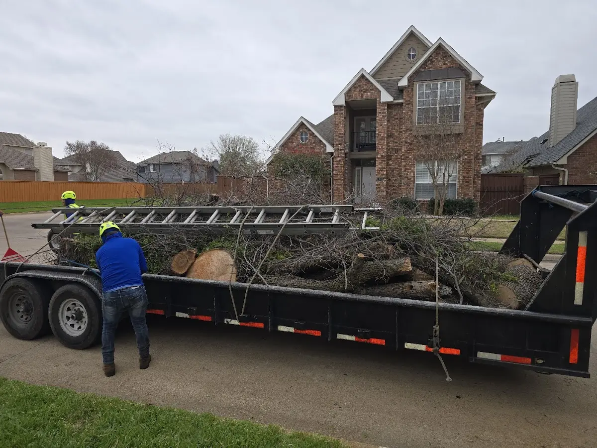 Expert Tree Fertilization with proper safety equipment in Faywood
